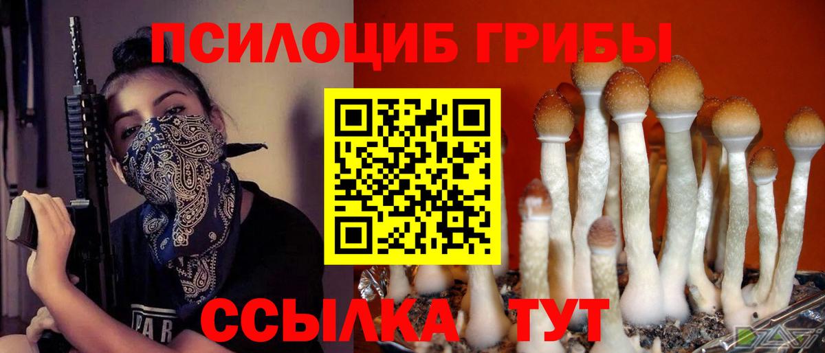 Сергиев Посад  Галлюциногенные грибы ЛСД  Вход с VPN  Галлюциногенные грибы Magic Shrooms 